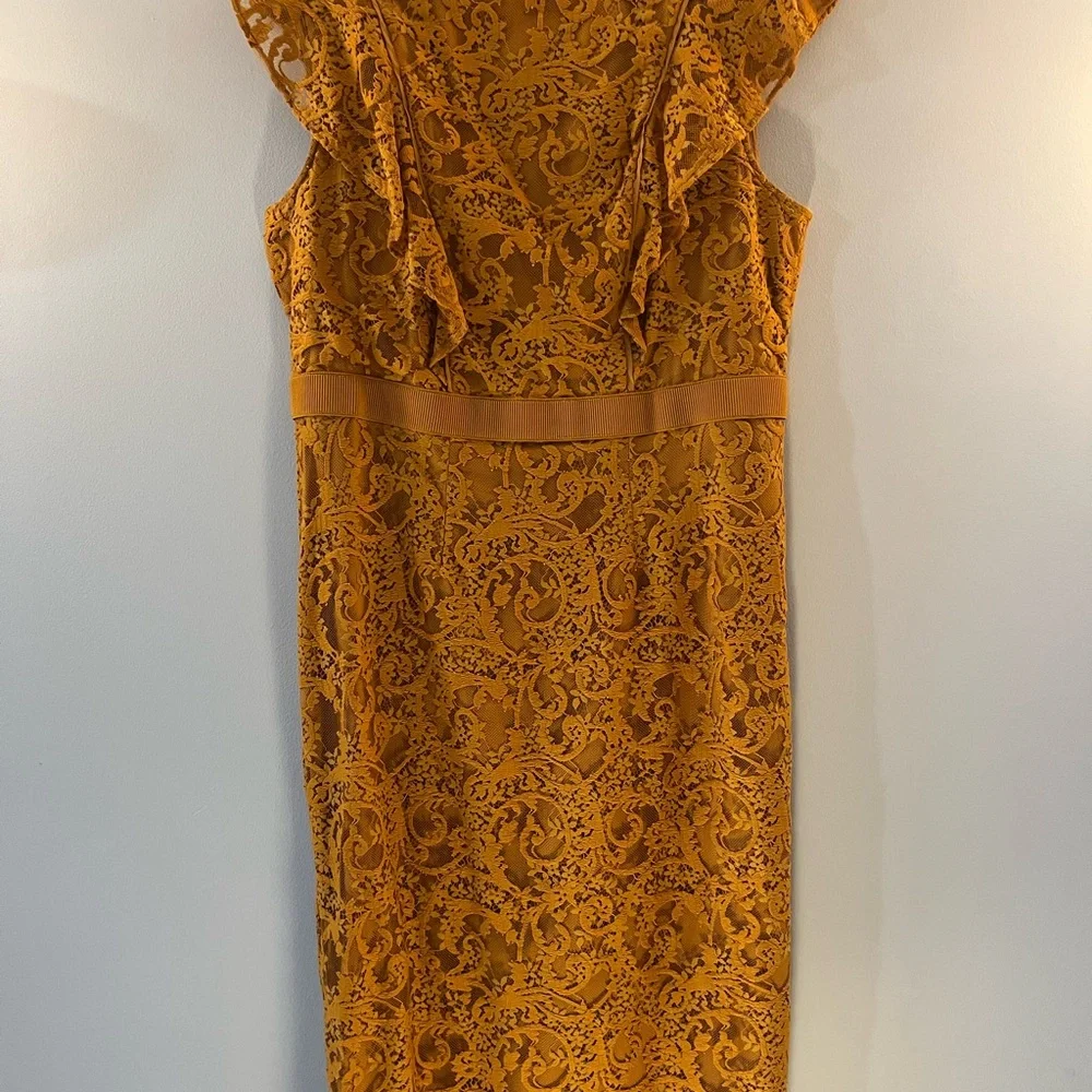 eva mendes for New York & Company Sleeveless Lace Sheath Dress - Picture 3 of 10